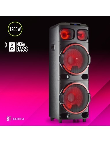 ngs-wild-dub-3-altavoz-portatil-bluetooth-tws-doble-subwoofer-15-1200w-8.jpg