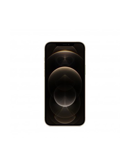 apple-iphone-12-pro-max-256gb-oro-1.jpg