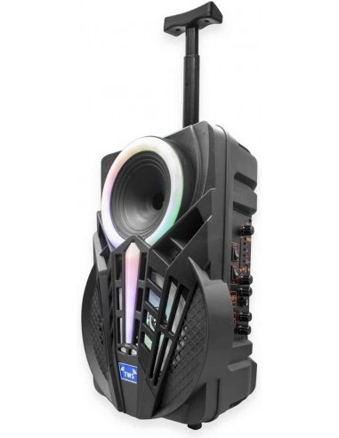 Denver TSP-301 Altavoz Portátil 8" 120W con Trolley y efectos de luz