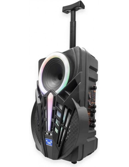 Denver TSP-301 Altavoz Portátil 8" 120W con Trolley y efectos de luz