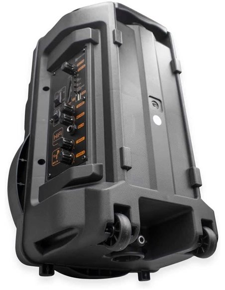 Denver TSP-301 Altavoz Portátil 8" 120W con Trolley y efectos de luz
