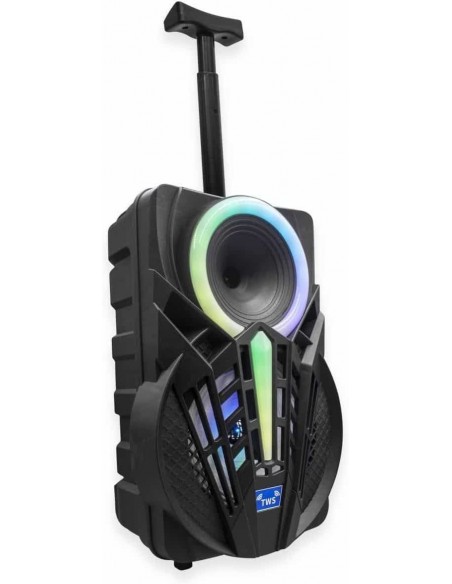 Denver TSP-301 Altavoz Portátil 8" 120W con Trolley y efectos de luz