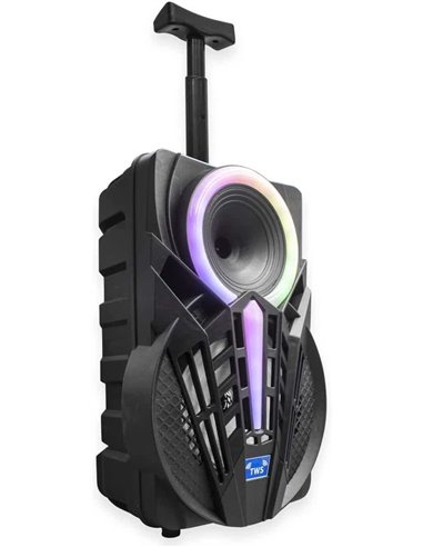 Denver TSP-301 Altavoz Portátil 8" 120W con Trolley y efectos de luz