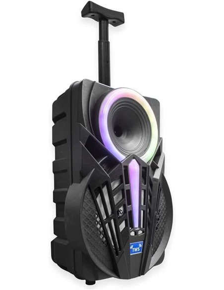 Denver TSP-301 Altavoz Portátil 8" 120W con Trolley y efectos de luz