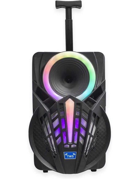 Denver TSP-301 Altavoz Portátil 8" 120W con Trolley y efectos de luz