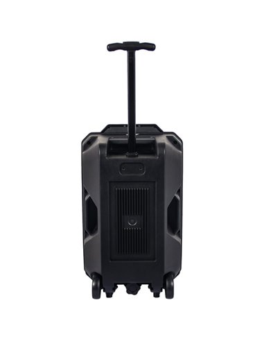 Denver TSP-120 Altavoz Portátil 8" 100W con Trolley y luz frontal 