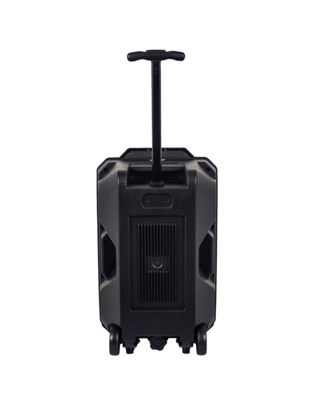 Denver TSP-120 Altavoz Portátil 8" 100W con Trolley y luz frontal 