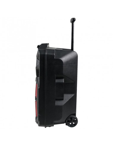 Denver TSP-120 Altavoz Portátil 8" 100W con Trolley y luz frontal 