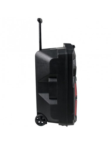 Denver TSP-120 Altavoz Portátil 8" 100W con Trolley y luz frontal 