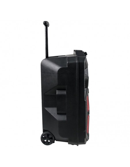 Denver TSP-120 Altavoz Portátil 8" 100W con Trolley y luz frontal 