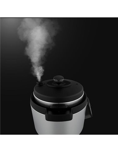 Cecotec Olla GM H Ovall Olla programable eléctrica 1000w 8L