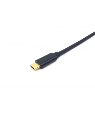 equip-cable-usb-c-a-displayport-m-m-4k-60hz-3m-3.jpg