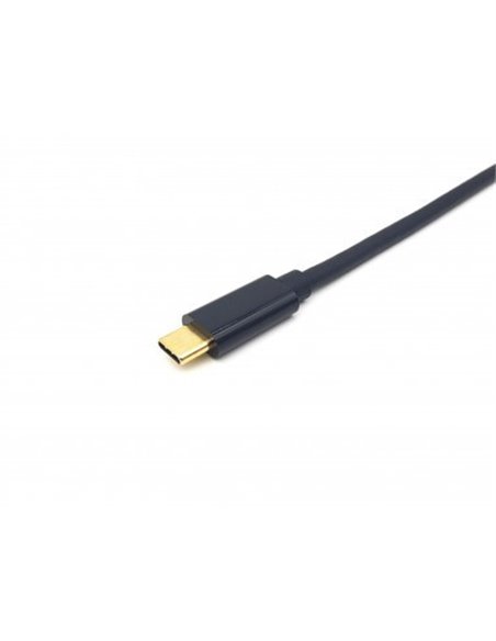 equip-cable-usb-c-a-displayport-m-m-4k-60hz-3m-3.jpg
