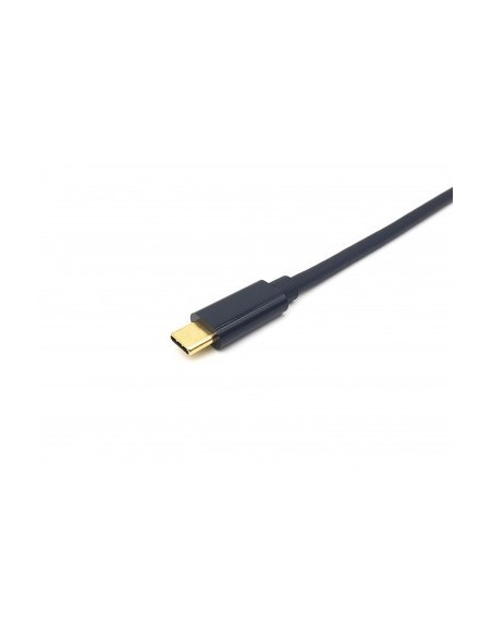 equip-cable-usb-c-a-displayport-m-m-4k-60hz-2m-3.jpg