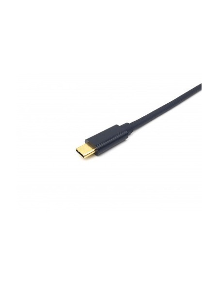 equip-cable-usb-c-a-displayport-m-m-4k-60hz-1m-3.jpg